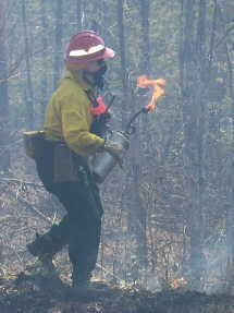 Controlled burn on Wildcat Road.