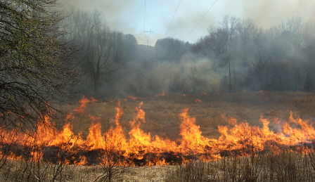 Controlled burn at one area of Doc Roger's Fields in Coker Creek.