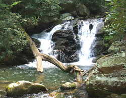 Gee Creek Falls.