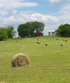Kefaver farm in Madisonville.