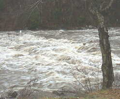 High water on Tellico River.
